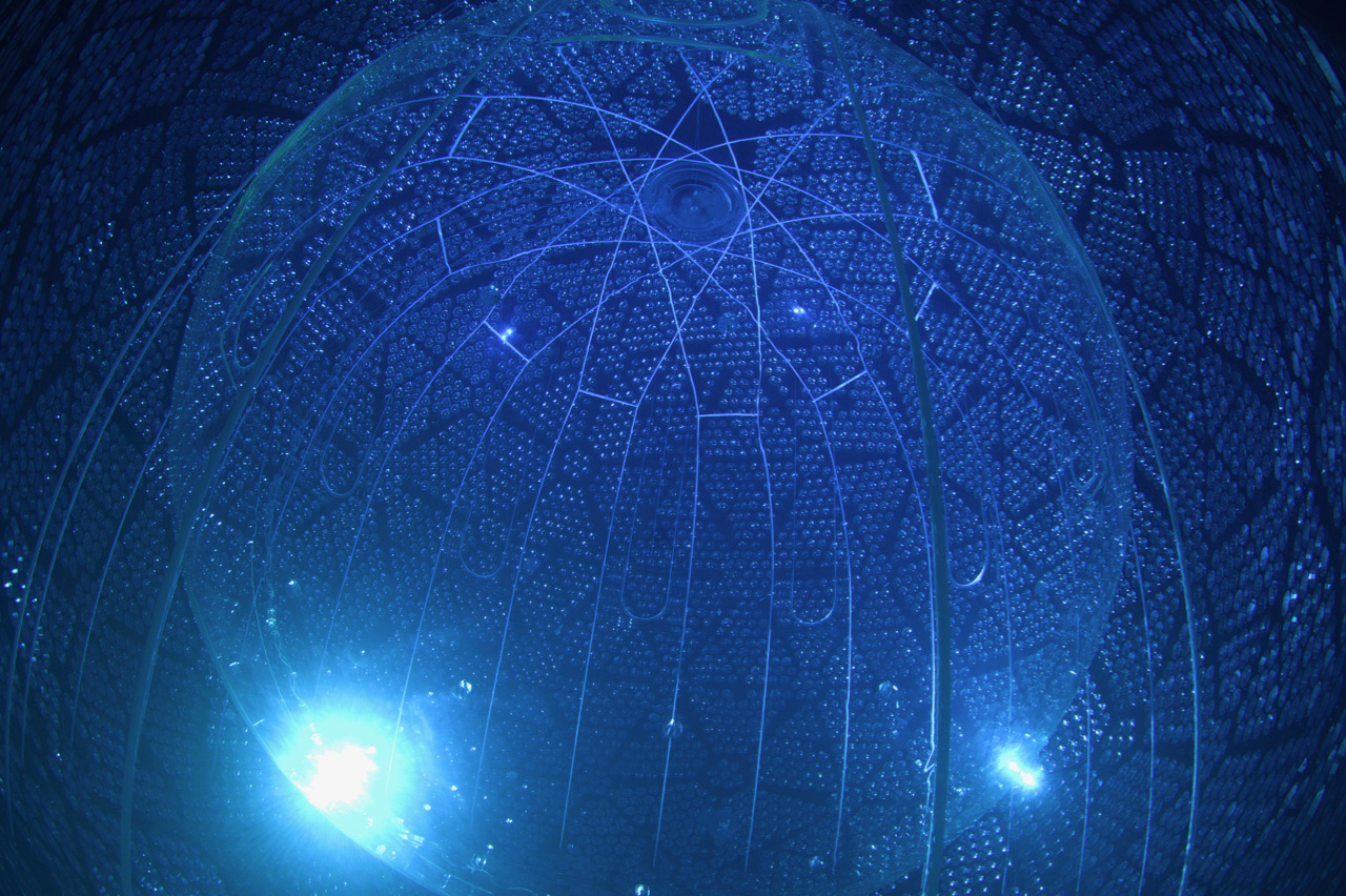 SNO+ Detector PMT Array